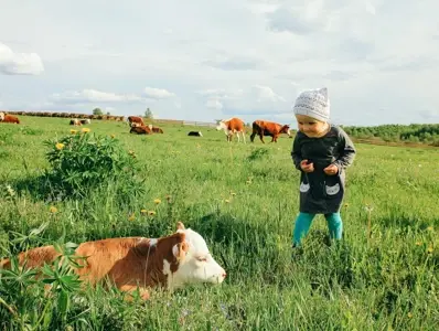 Mikrobiota - tajny sojusznik czy ukryty wróg? Dziecko w polu z krowami