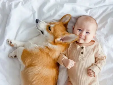 Objawy alergii u dzieci | Baby&Me Medical Objawy alergii u dzieci | Baby&Me Medical